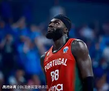 荷兰又输了 荷兰又输了